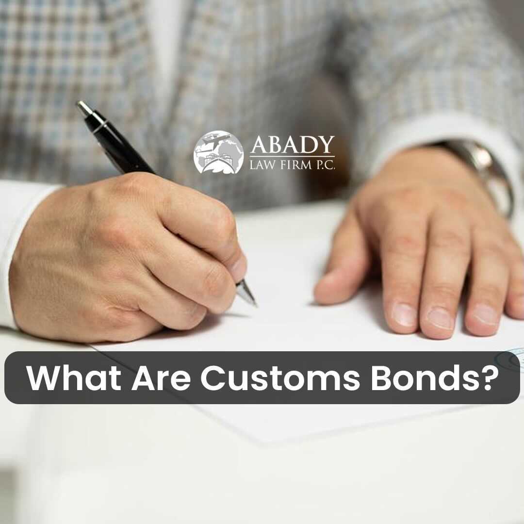 Customs Attorney and International Trade Attorney | Abady